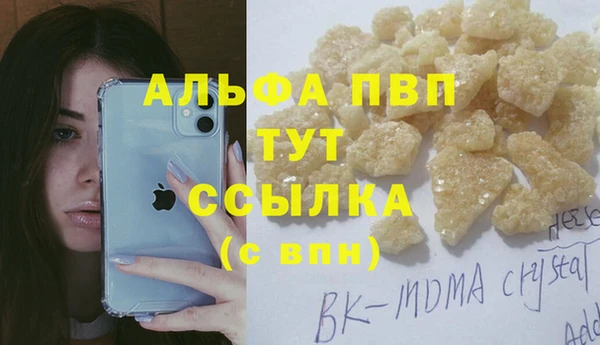Альфа ПВП Инта