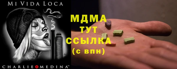 твердый Инсар