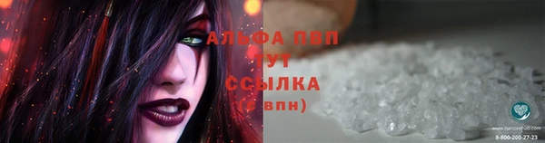 Альфа ПВП Инта