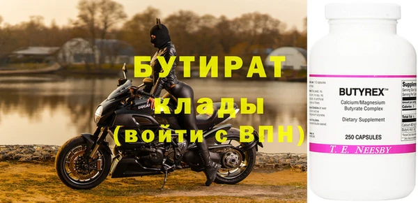твердый Инсар