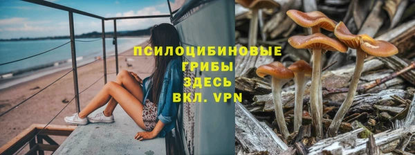 твердый Инсар