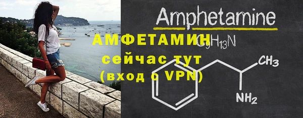 твердый Инсар