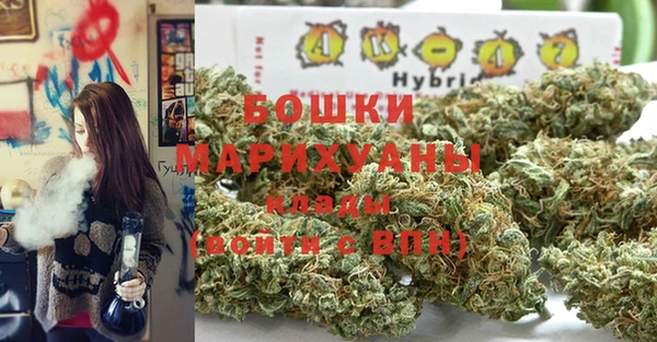 Альфа ПВП Инта