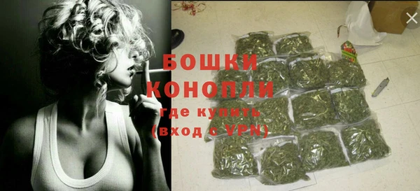 твердый Инсар