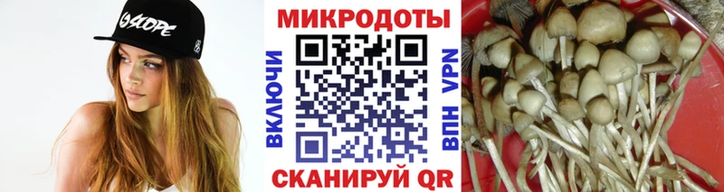 Псилоцибиновые грибы Psilocybe  Купить где  Красавино 