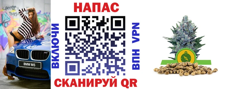 Марихуана планчик  Купить где  Красавино 